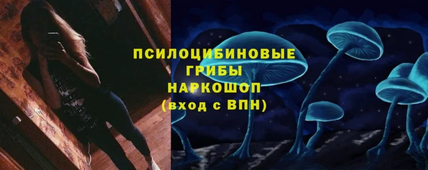 МДПВ Армянск