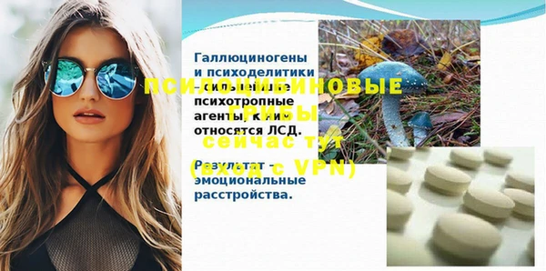 МДПВ Армянск